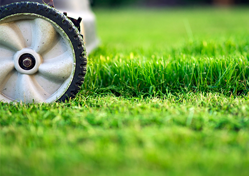 Lawn Mower Cutting Grass