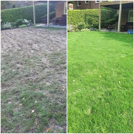 Before-and-After-Lawn